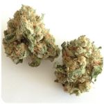 Шишки "White Widow" (Белая вдова) Гидропоника - Бошка VHQ в Острогожске Шишки "White Widow" (Белая вдова) Гидропоника - Бошка VHQ в Острогожске