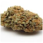 Шишки AK47 (Гидропоника, Бошка) VHQ в Острогожске Шишки AK47 (Гидропоника, Бошка) VHQ в Острогожске